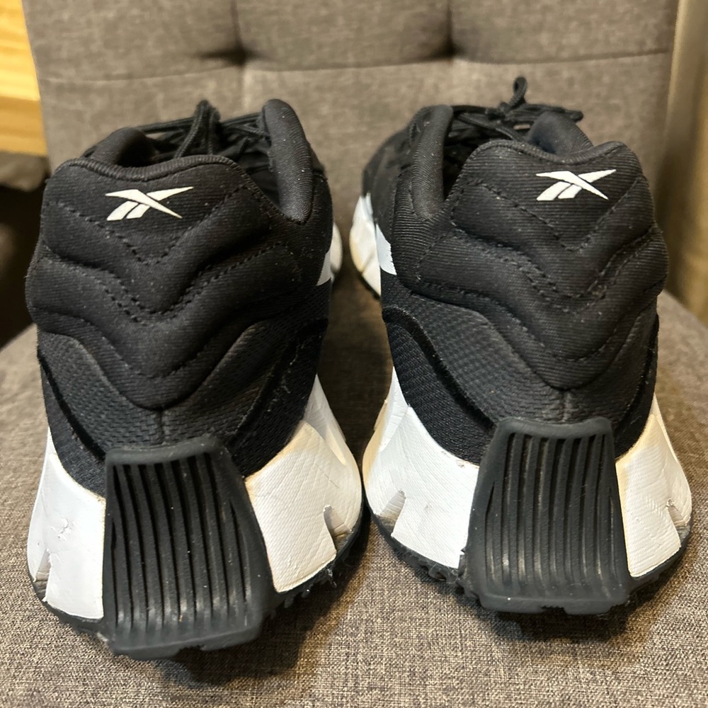 Reebok Men's Zig Dynamica Running Shoe